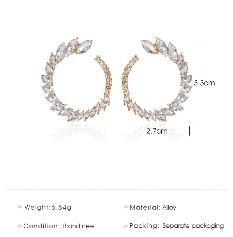 Crystal Spiral Stud Earrings - Emberil