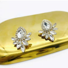 Luxury Shining Diva Earrings - Emberil